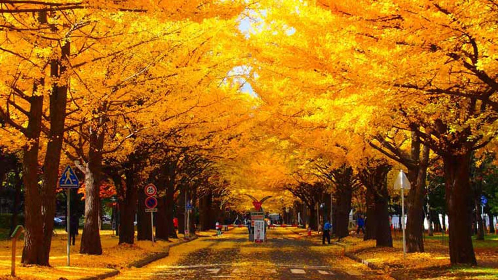 Toyoko Inn Hokkaido Sapporo-Eki Nishi-Guchi Hokudai Mae Exteriér fotografie